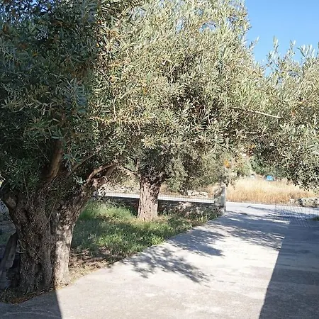 ελαιώνας μαγκράδι