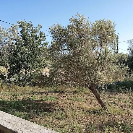 ελαιώνας μαγκράδι Holiday home *
